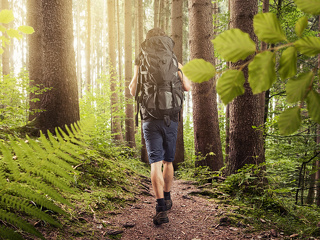 Mehr Zecken, mehr Risiko – aber Prävention und Versicherungsschutz halten nicht Schritt.