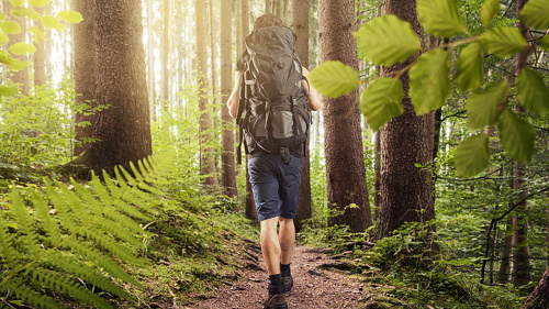 Mehr Zecken, mehr Risiko – aber Prävention und Versicherungsschutz halten nicht Schritt.