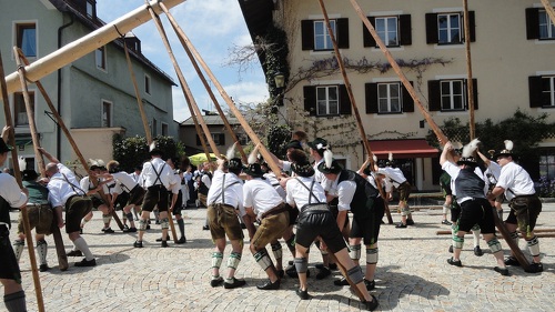 Ein Mai-Baum wird aufgestellt.